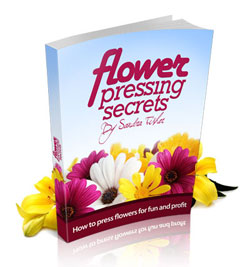 The Flower Pressing Guide