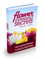 The Secrets of Flower Pressing